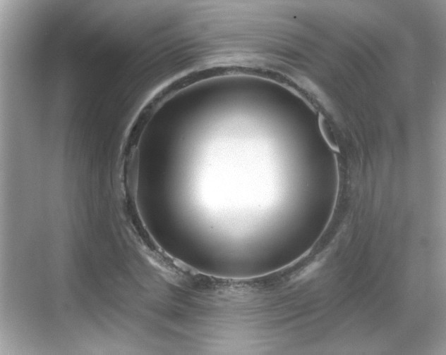 X0000069360830200605121114