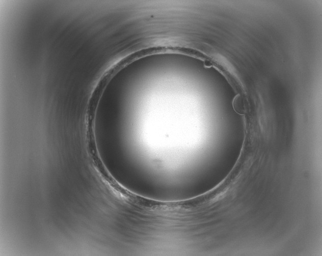 X0000069360831200605121114