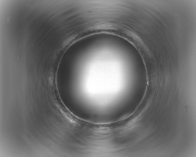 X0000069360833200605121114