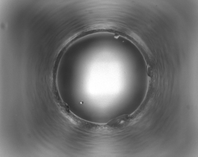 X0000069360834200605121114