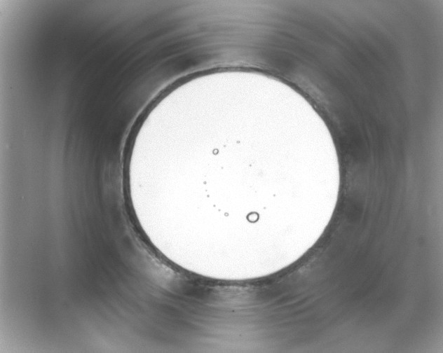 X0000069360836200605121114