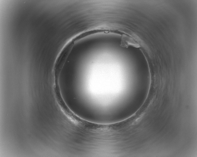 X0000069360838200605121114