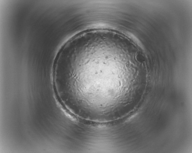 X0000069360839200605121114