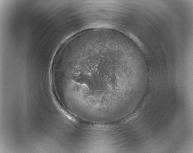 X0000069360840200605121114