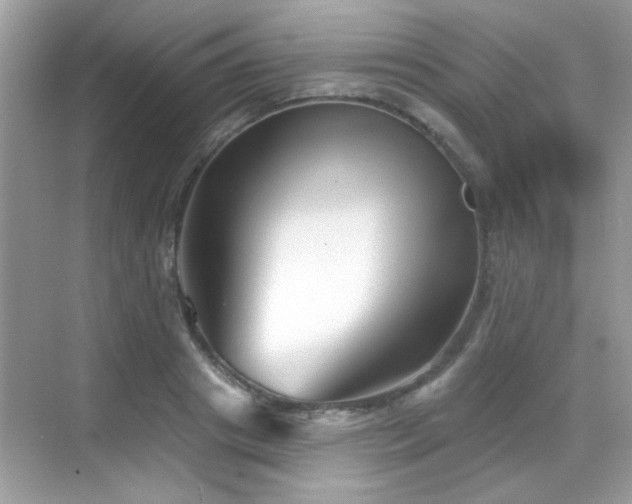 X0000069360841200605121114