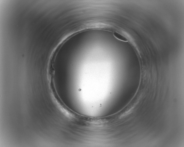 X0000069360843200605121114