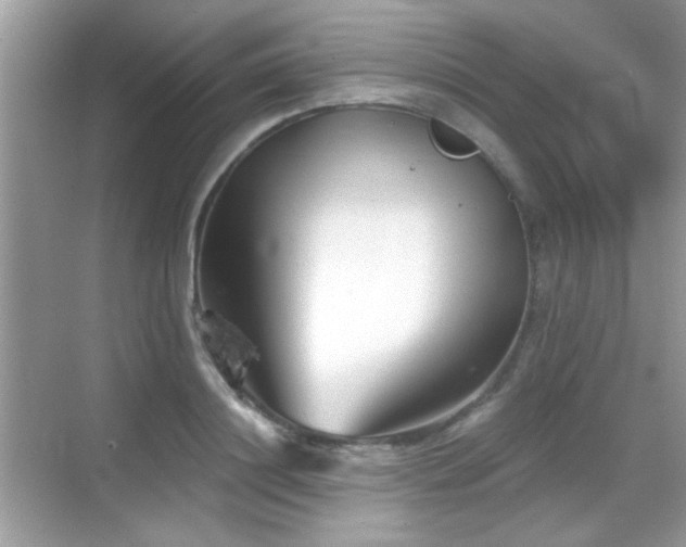 X0000069360844200605121114