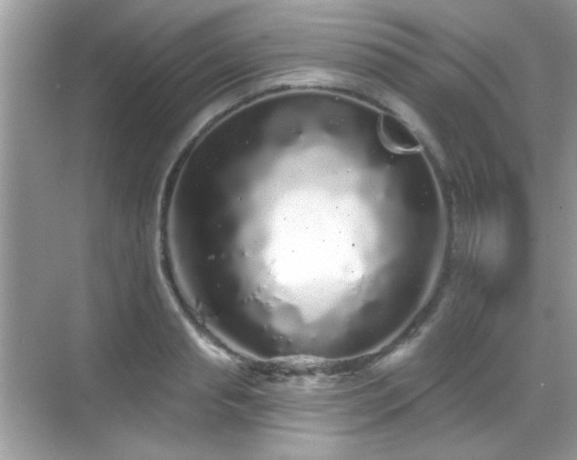 X0000069360845200605121114