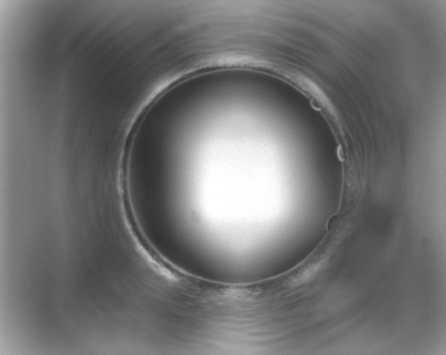 X0000069360847200605121114