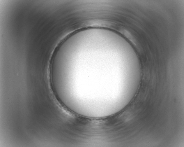 X0000069360848200605121115