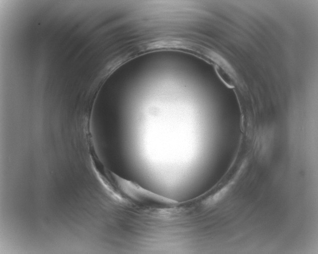 X0000069360849200605121115