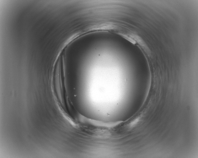 X0000069360850200605121115