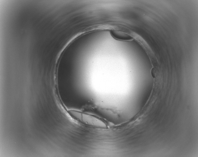 X0000069360852200605121115