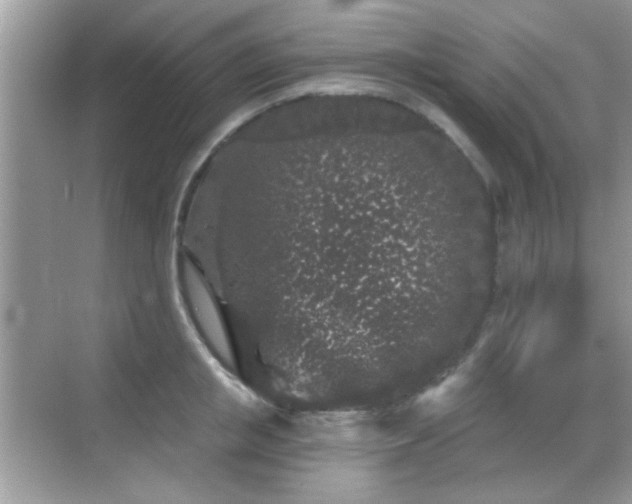 X0000069360853200605121115