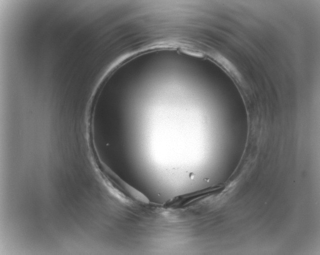 X0000069360854200605121115