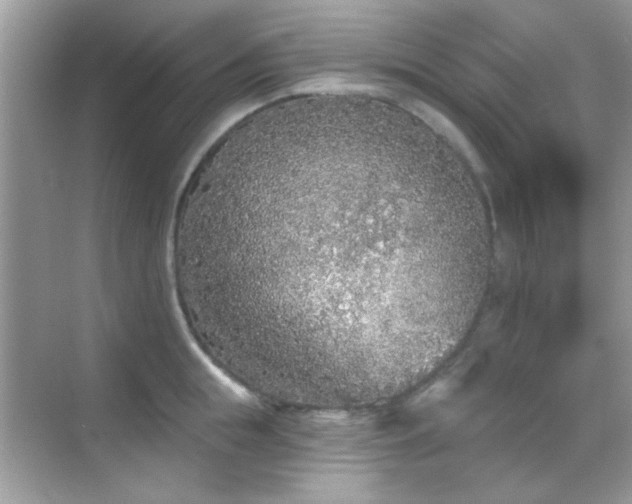 X0000069360855200605121115