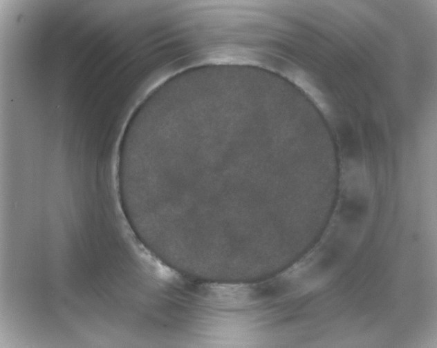 X0000069360856200605121115