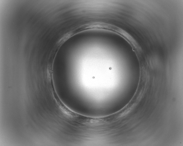 X0000069360857200605121115