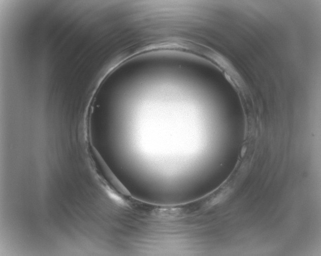 X0000069360858200605121115