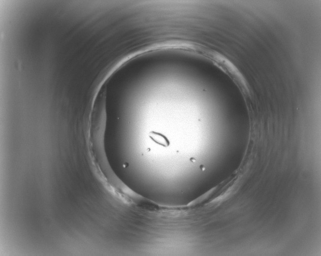 X0000069360860200605121115