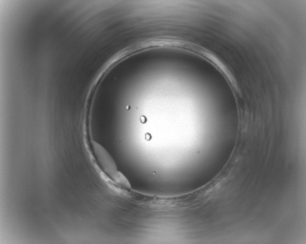 X0000069360861200605121115