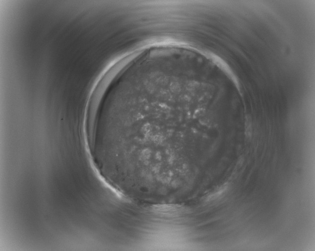 X0000069360863200605121115