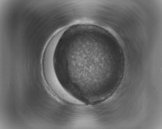 X0000069360864200605121115