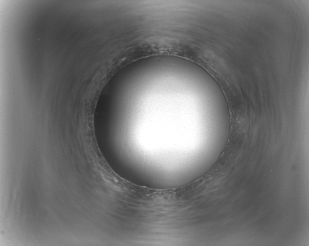 X0000069360865200605121114