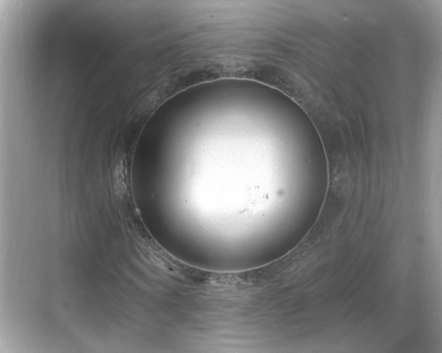 X0000069360866200605121114