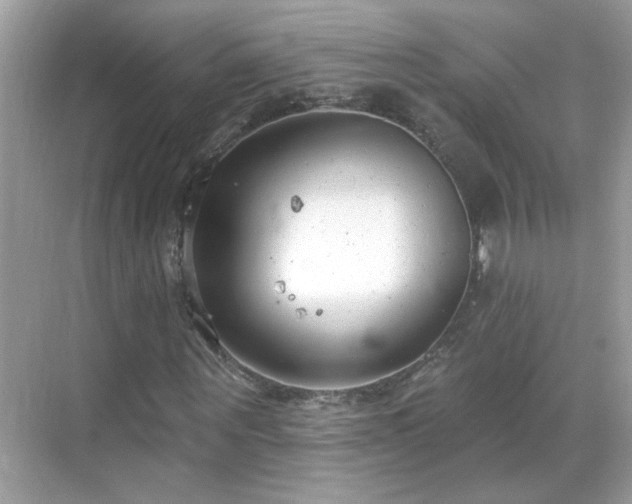 X0000069360867200605121114