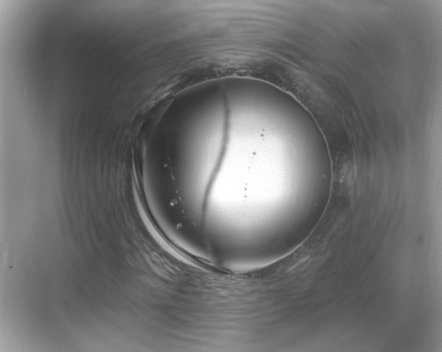 X0000069360868200605121114