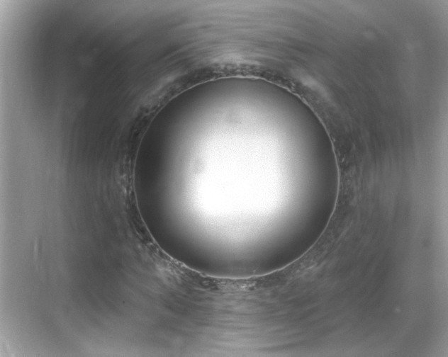 X0000069360870200605121114