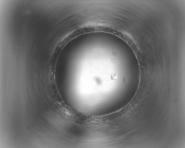 X0000069360871200605121114