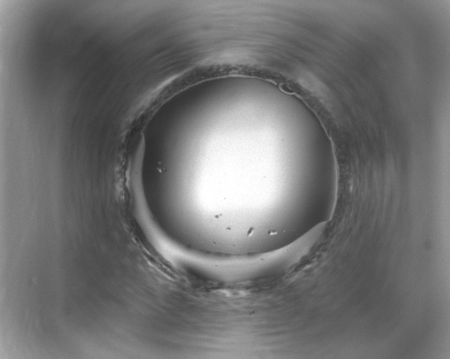 X0000069360872200605121114