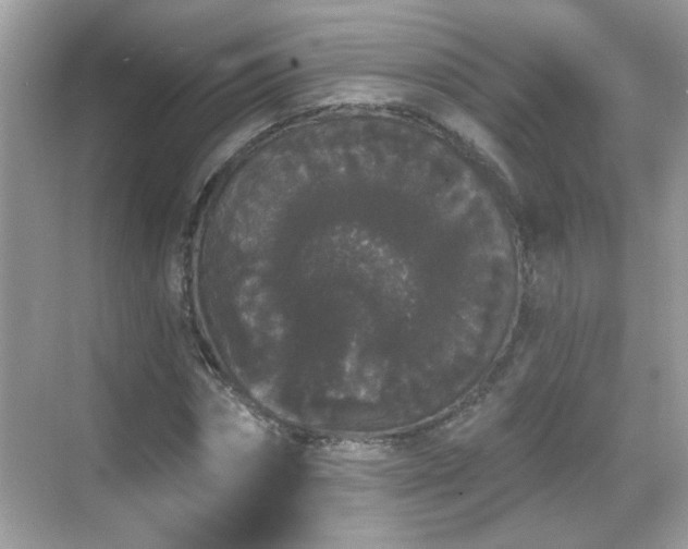 X0000069360874200605121114