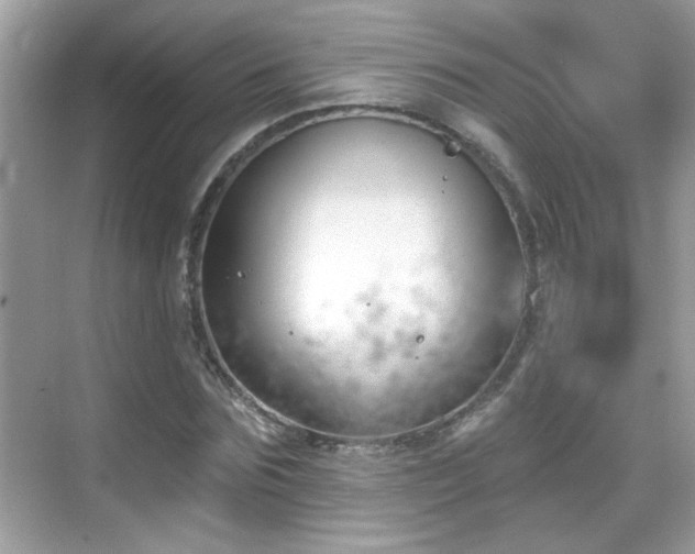 X0000069360875200605121114