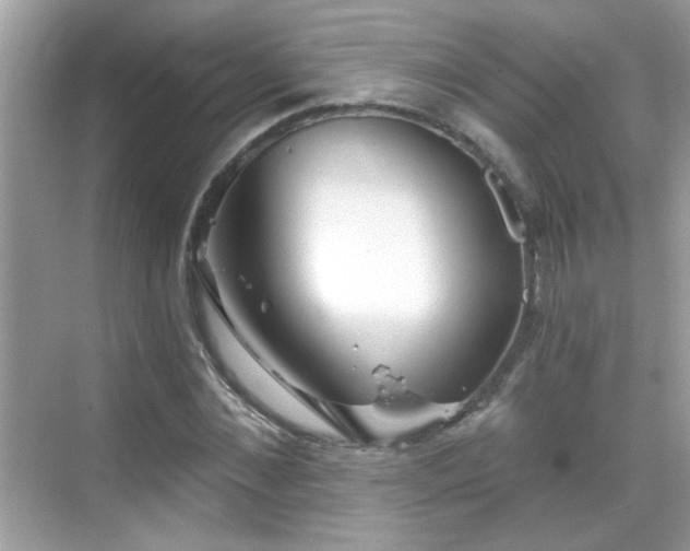 X0000069360876200605121114