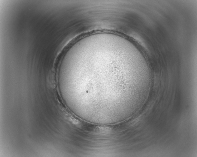 X0000069360878200605121114