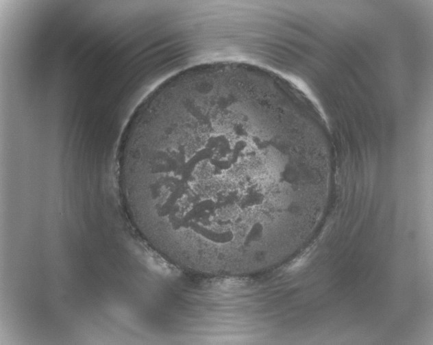 X0000069360879200605121114