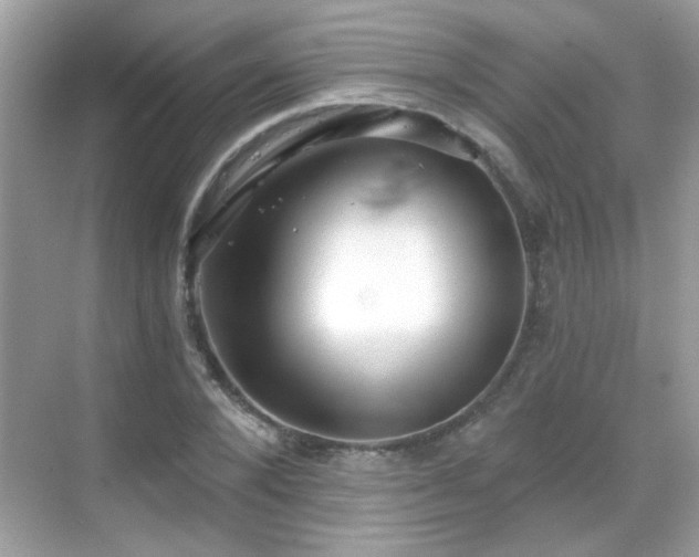 X0000069360880200605121114