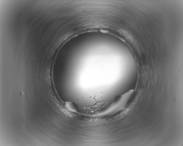 X0000069360881200605121114