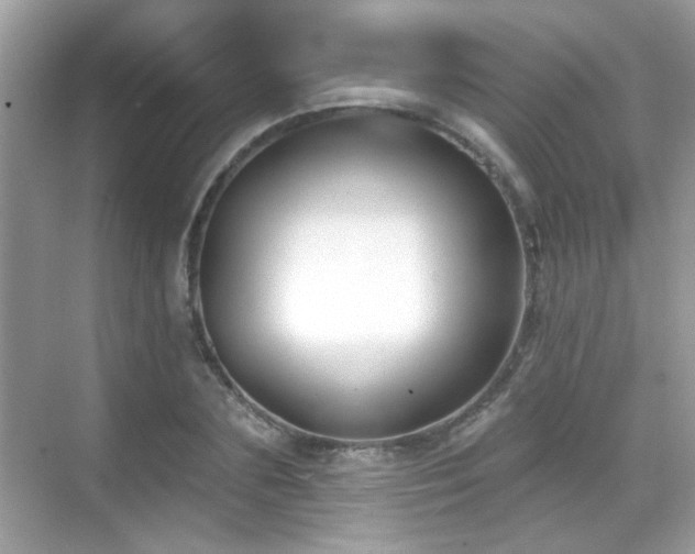 X0000069360883200605121114