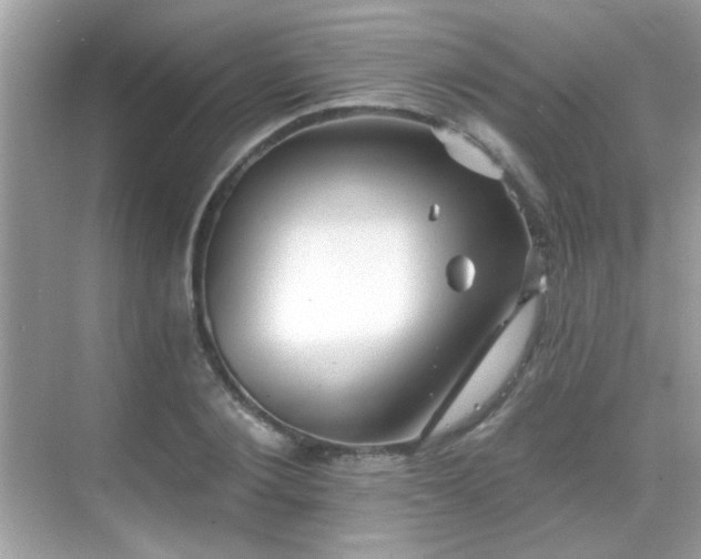 X0000069360884200605121114