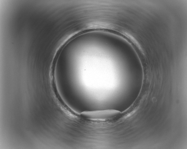 X0000069360885200605121114