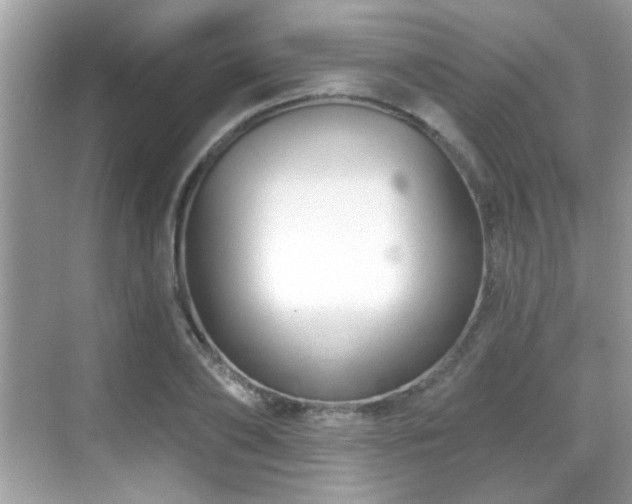 X0000069360886200605121114