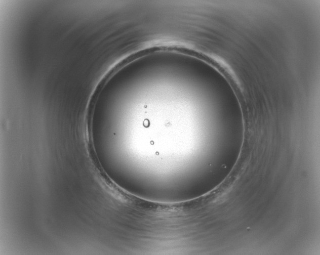 X0000069360887200605121114