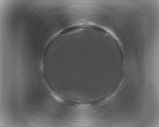 X0000069360889200605121114