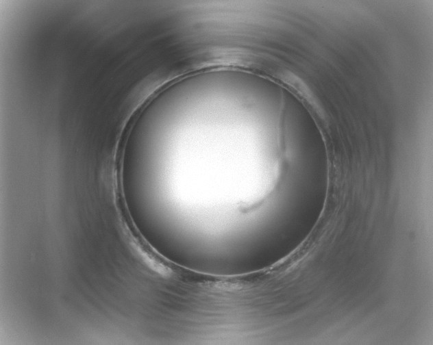 X0000069360890200605121114