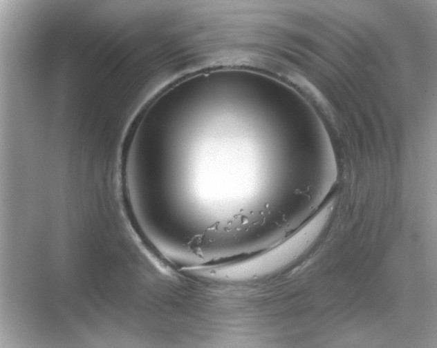 X0000069360894200605121113