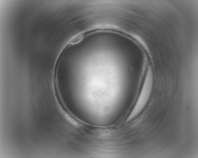 X0000069360895200605121113